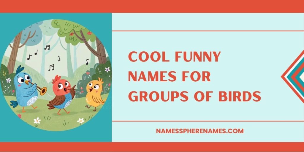 Cool Funny Names For Groups Of Birds 