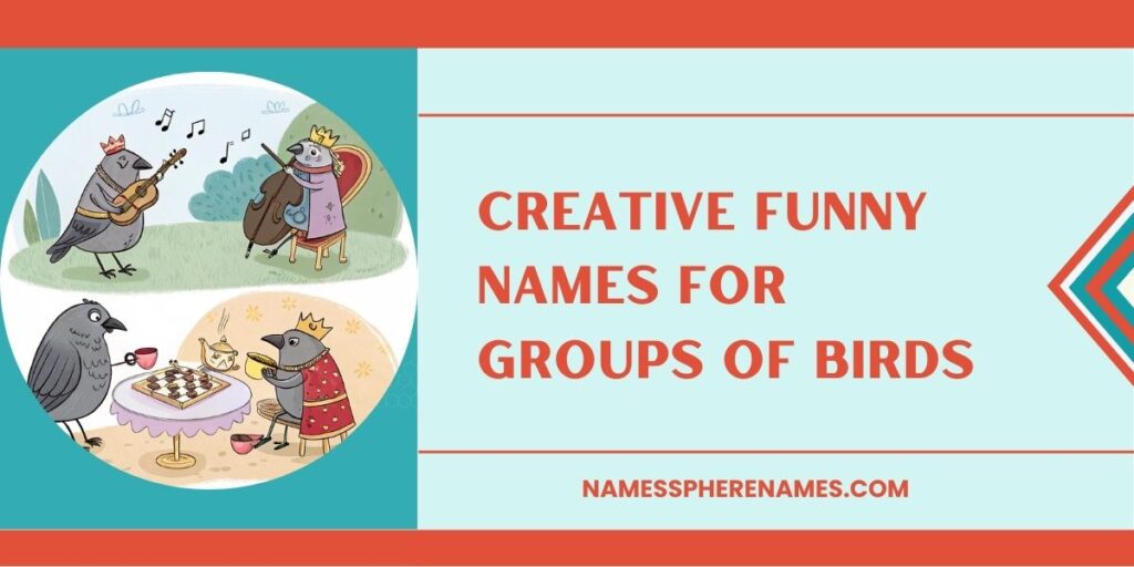 Creative Funny Names For Groups Of Birds 