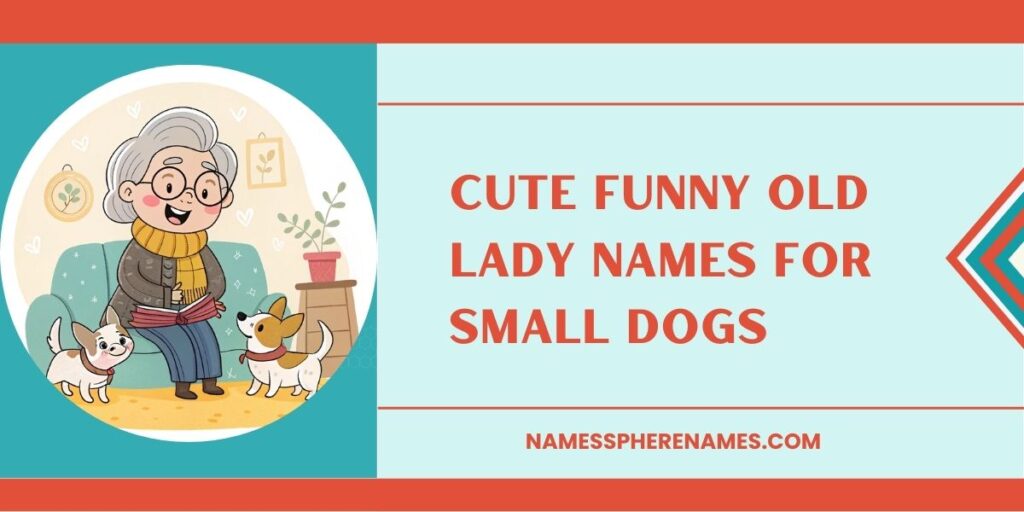 Cute Funny Old Lady Names For Small Dogs