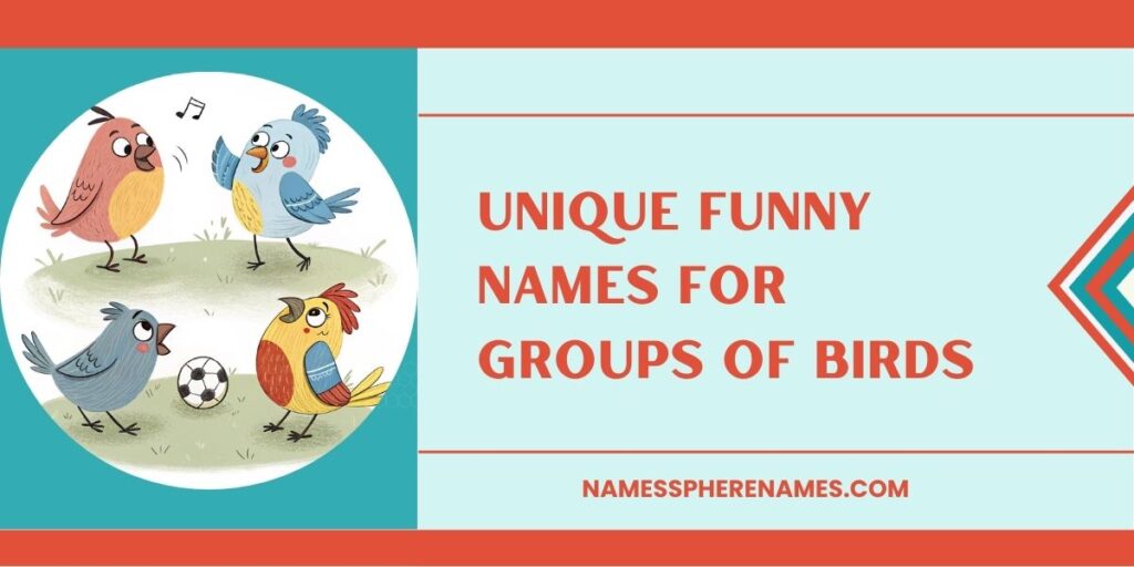 Unique Funny Names For Groups Of Birds 