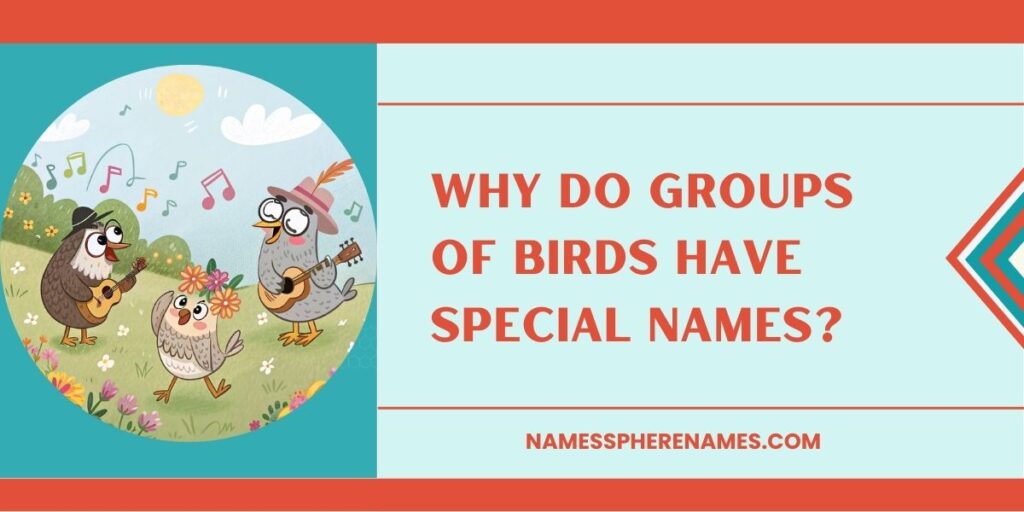 Why Do Groups Of Birds Have Special Names