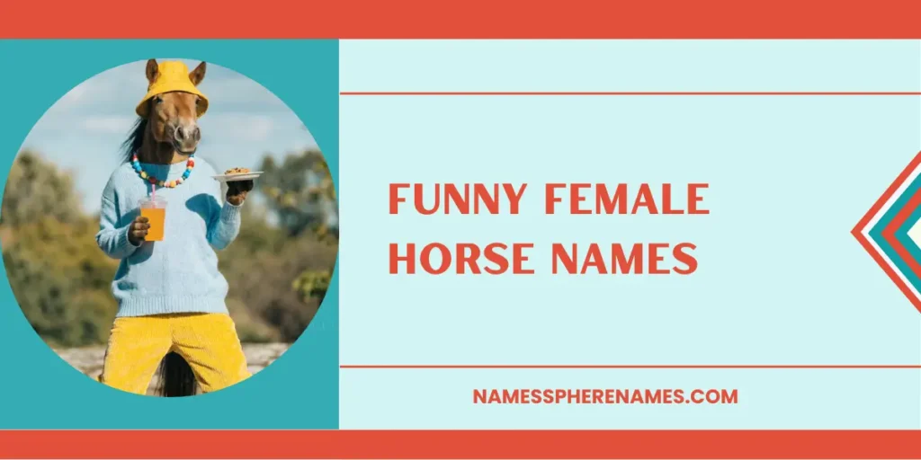 Funny Female Horse Names