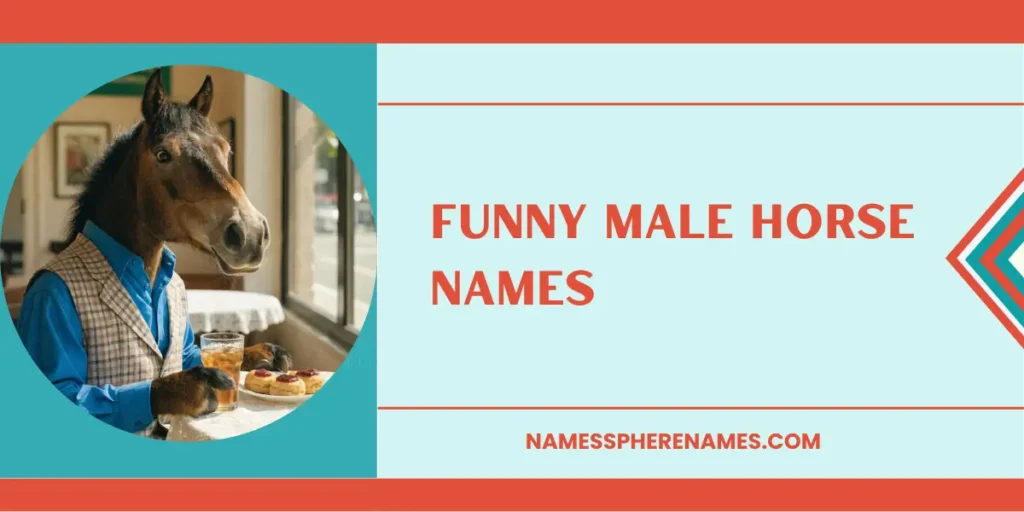 Funny Male Horse Names