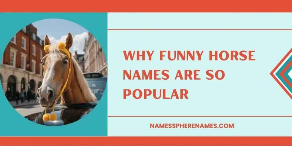 Why Funny Horse Names Are So Popular
