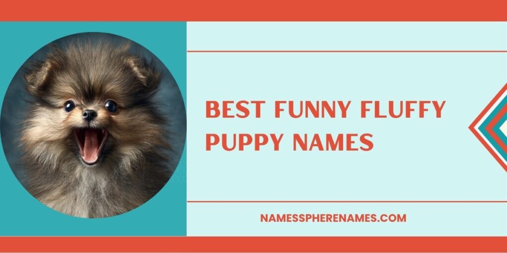 Best Funny Fluffy Puppy Names