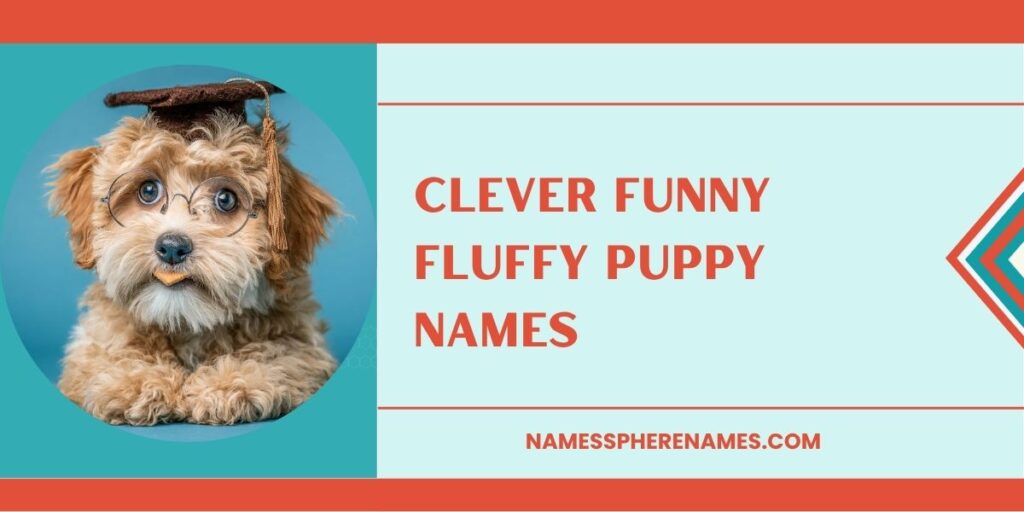Clever Funny Fluffy Puppy Names