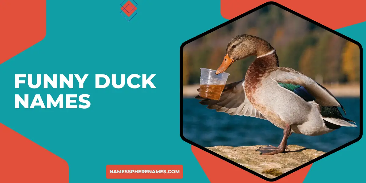 Funny Duck Names
