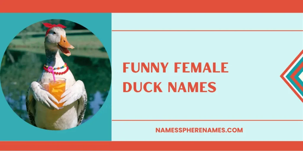 Funny Female Duck Names