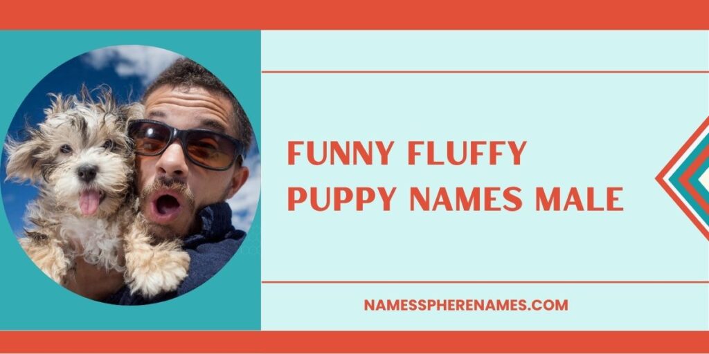 Funny Fluffy Puppy Names Male