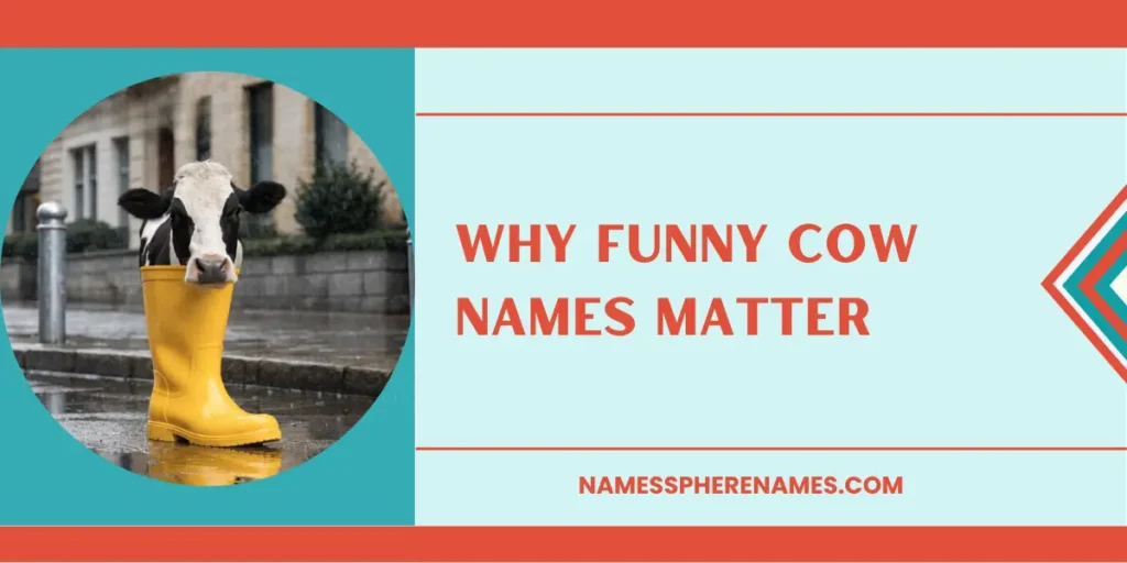 Why Funny Cow Names Matter